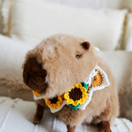 Sunshine Bloom Crochet Doll Bib