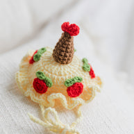 Rose Cake Party Crochet Doll Outfit Set 🎂🌹✨